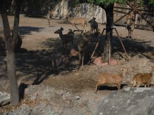 DSCF7834.JPG