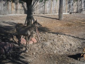 DSCF7836.JPG
