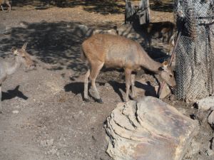 DSCF7840.JPG