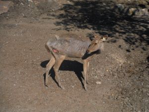 DSCF7841.JPG