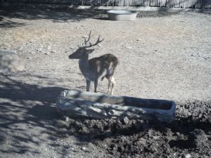DSCF7843.JPG