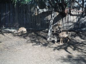 DSCF7845.JPG