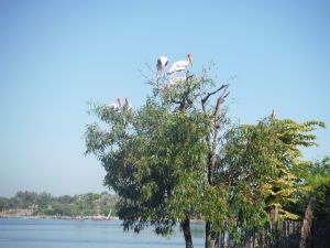 DSCF7856.JPG