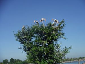 DSCF7859.JPG