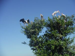 DSCF7860.JPG