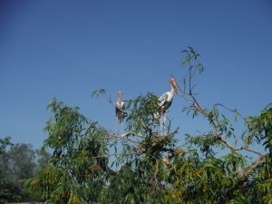 DSCF7861.JPG