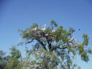 DSCF7863.JPG