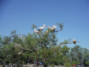 DSCF7864.JPG