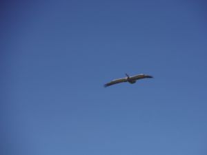 DSCF7866.JPG