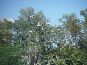 DSCF7867.JPG