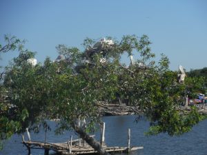 DSCF7875.JPG