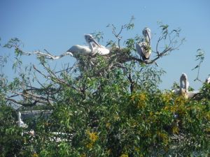 DSCF7877.JPG