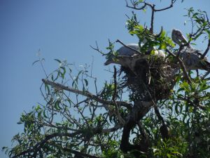 DSCF7878.JPG