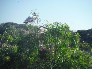DSCF7880.JPG