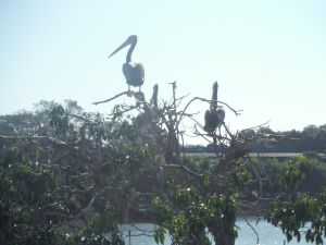 DSCF7882.JPG