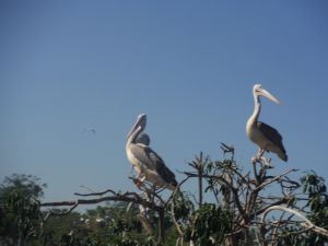 DSCF7883.JPG