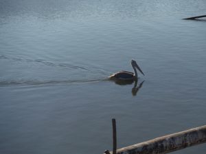 DSCF7888.JPG