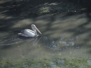 DSCF7892.JPG