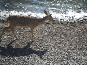 DSCF7893.JPG
