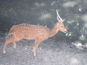 DSCF7894.JPG