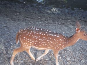 DSCF7895.JPG