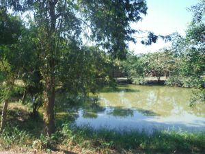 DSCF7899.JPG