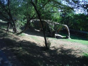 DSCF7902.JPG