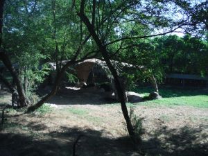 DSCF7903.JPG