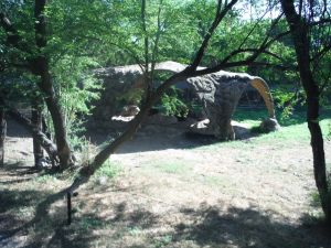 DSCF7904.JPG