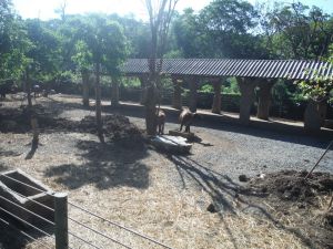 DSCF7907.JPG