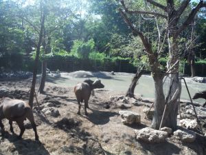 DSCF7914.JPG