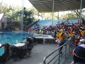 DSCF7971.JPG