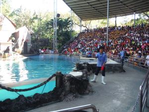 DSCF7988.JPG