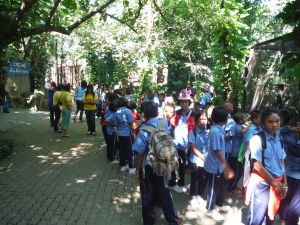 DSCF8003.JPG