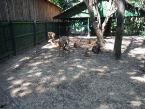 DSCF8008.JPG