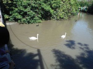 DSCF8018.JPG