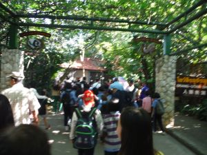 DSCF8056.JPG