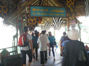 DSCF8058.JPG