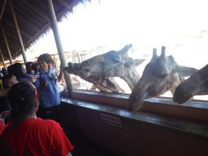 DSCF8070.JPG