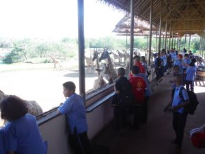 DSCF8073.JPG