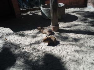 DSCF8083.JPG