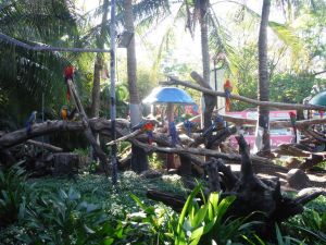 DSCF8116.JPG