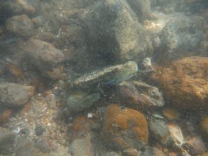 DSCF2142.JPG