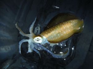 DSCF2257.JPG