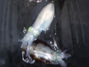 DSCF2267.JPG