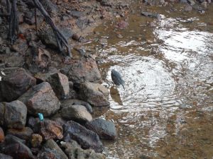 DSCF2674.JPG