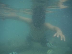 DSCF2792.JPG