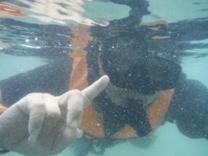 DSCF2794.JPG