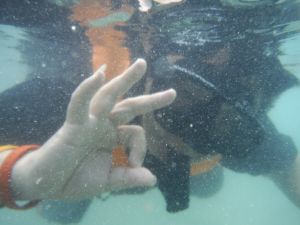 DSCF2795.JPG