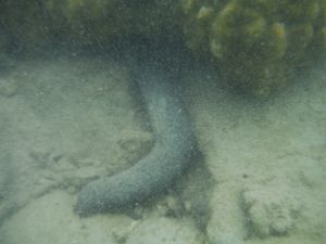 DSCF2796.JPG